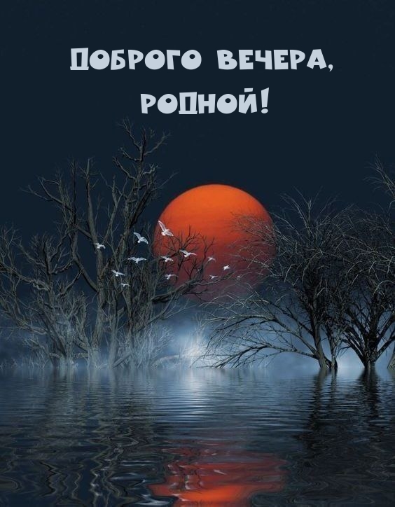 Доброго вечера, Родной!