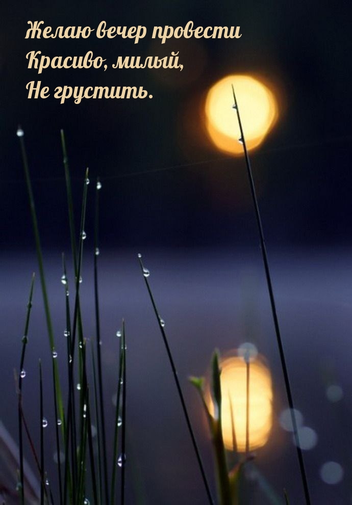 Желаю вечер провести красиво, милый, не грустить.