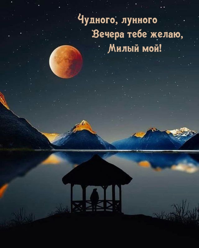 Чудного, лунного вечера тебе желаю, милый мой!