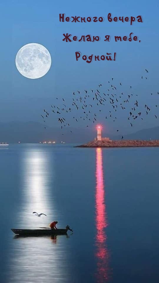 Нежного вечера желаю я тебе, Родной!