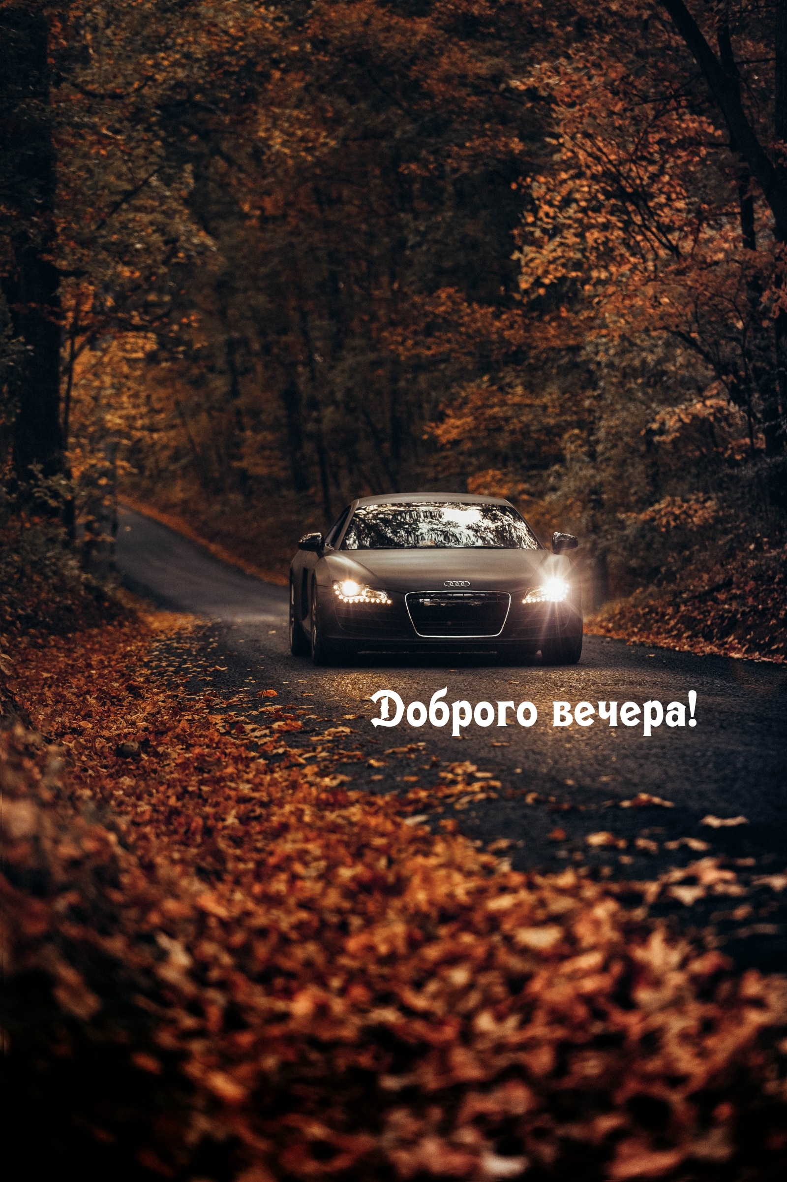 Доброго вечера!