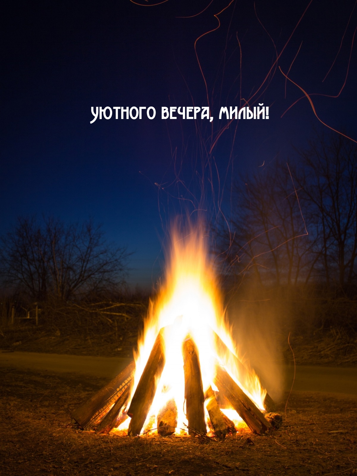 Уютного вечера, милый!