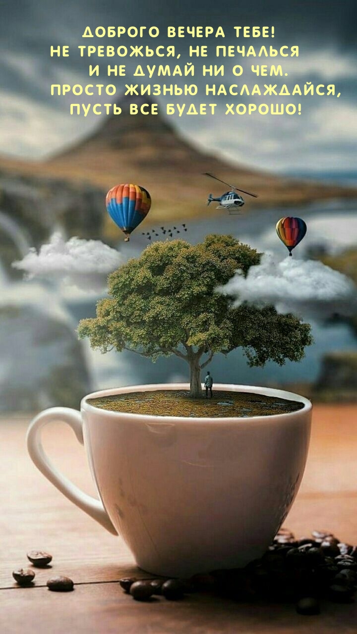 Доброго вечера тебе! Не тревожься, не печалься и не думай ни о чем.