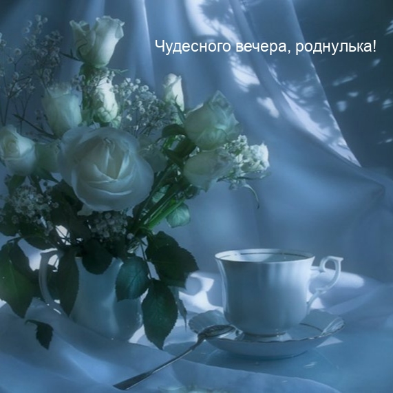 Чудесного вечера, роднулька!
