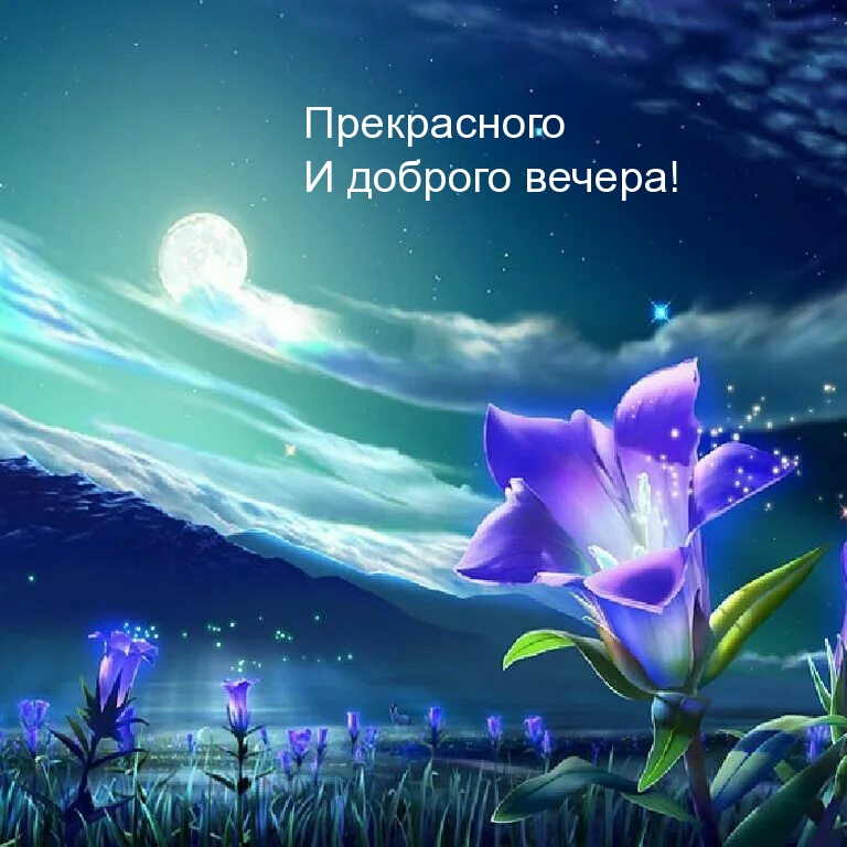 Прекрасного и доброго вечера!