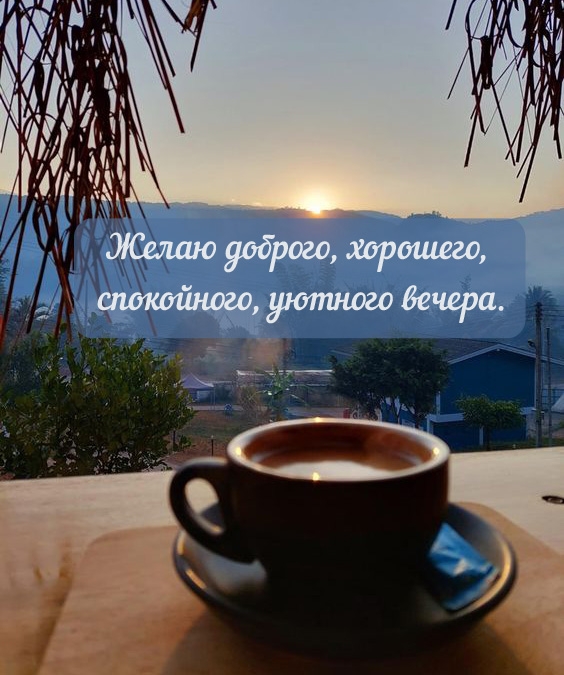 Желаю доброго, хорошего, спокойного, уютного вечера. 