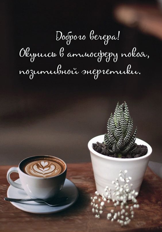 Доброго вечера! Окунись в атмосферу покоя