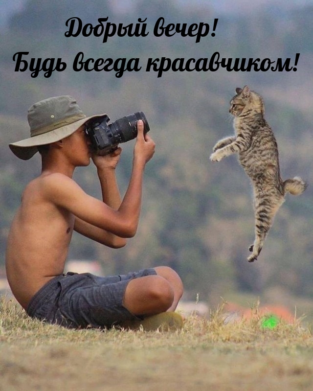 Добрый вечер! Будь всегда красавчиком! 
