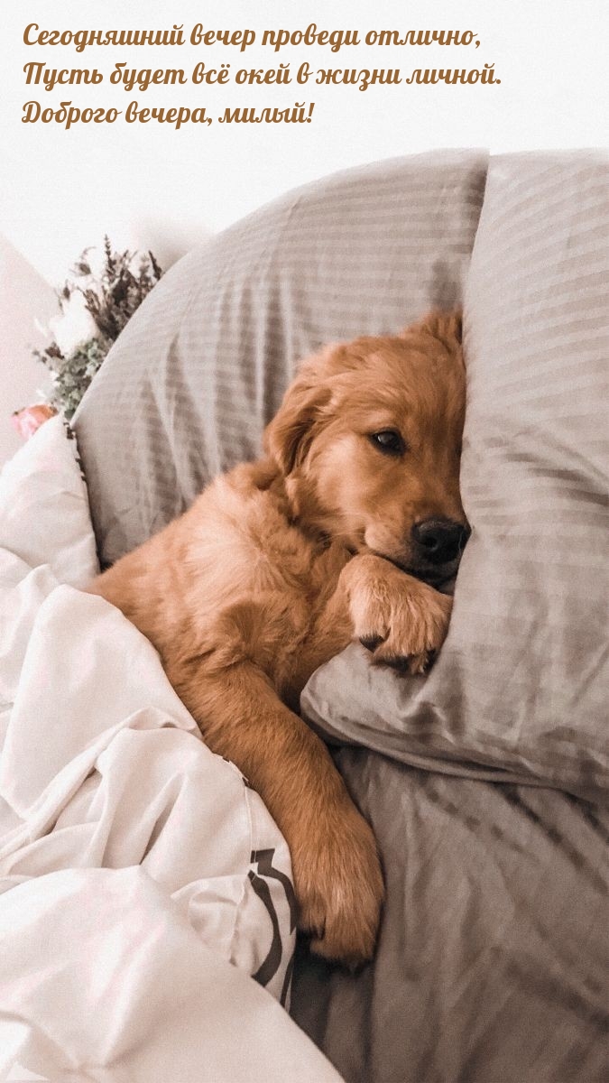 Сегодняшний вечер проведи отлично