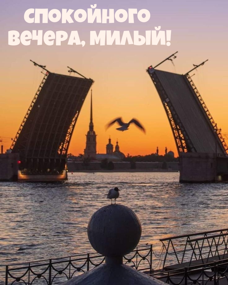 Спокойного Вечера, милый!