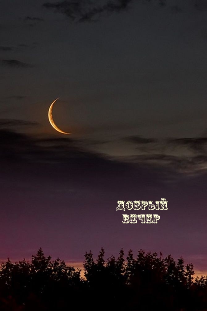 Добрый Вечер