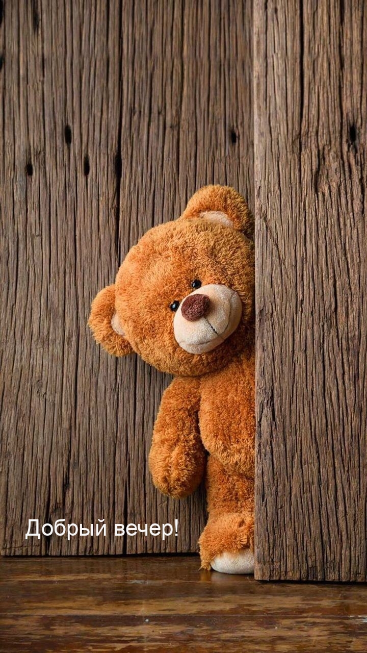 Добрый вечер!