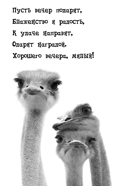 Пусть вечер подарит, блаженство и радость