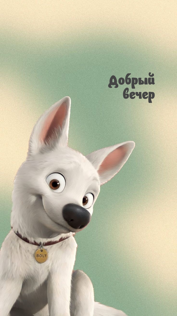 Добрый вечер