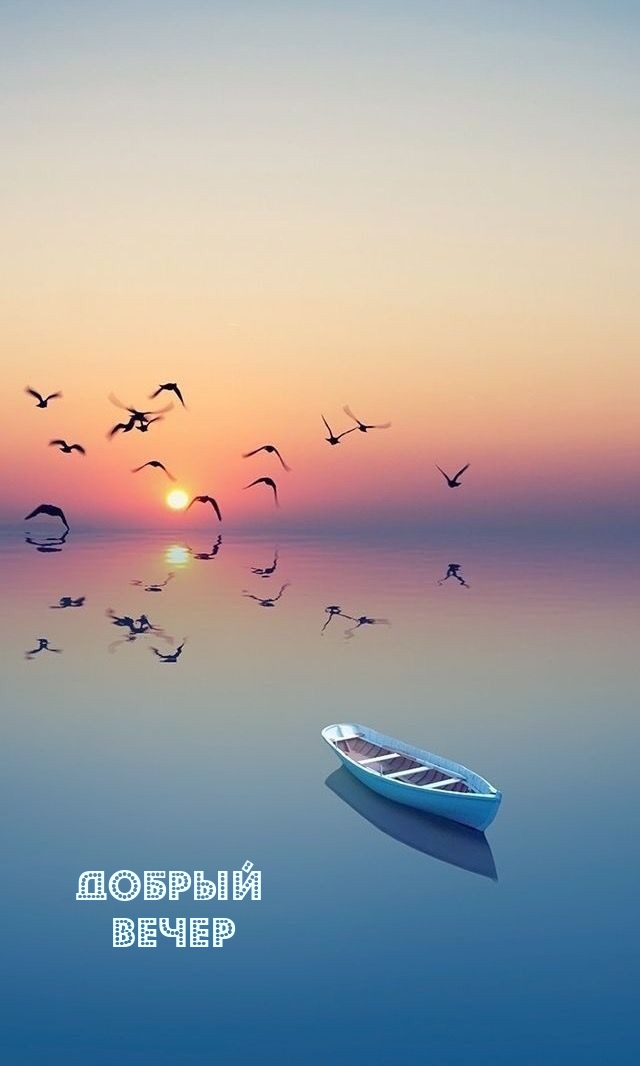 Добрый вечер