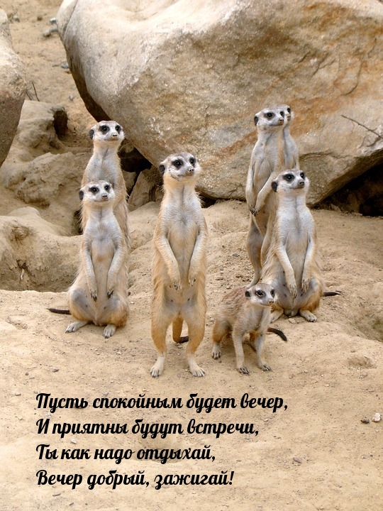 Пусть спокойным будет вечер, и приятны будут встречи