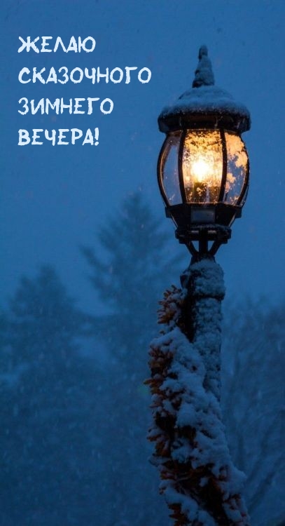 Желаю сказочного зимнего вечера!