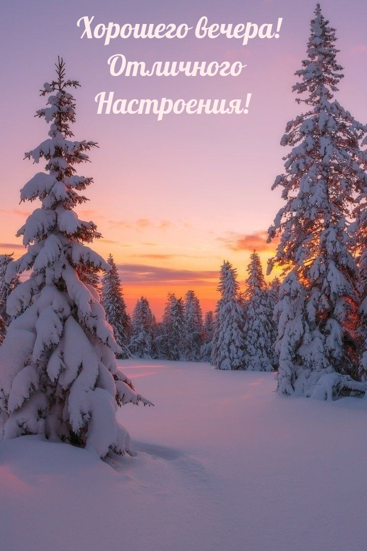 Хорошего вечера! Отличного настроения! 