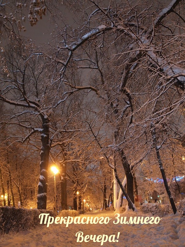 Прекрасного Зимнего Вечера!