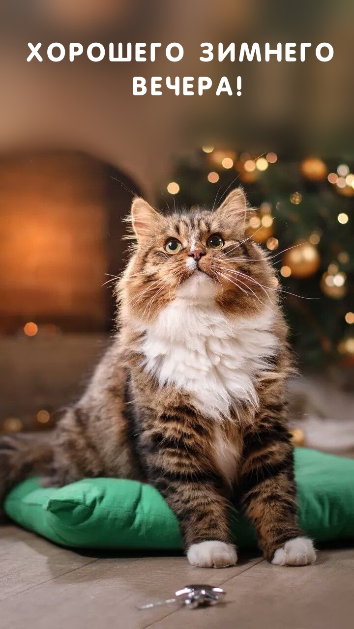 Хорошего зимнего вечера!