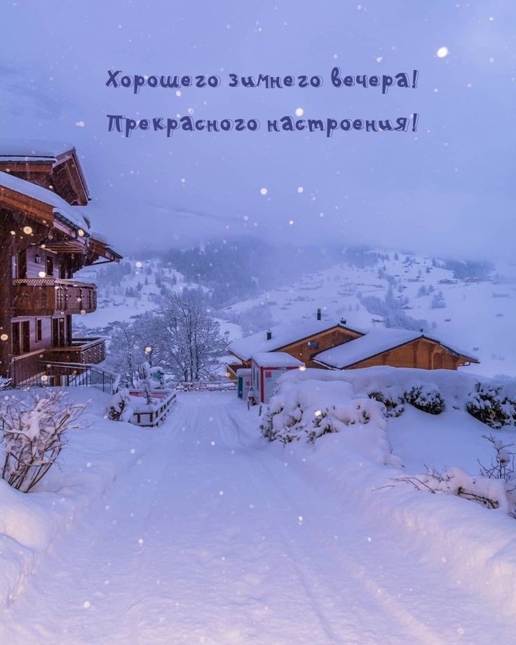 Хорошего зимнего вечера! Прекрасного настроения!