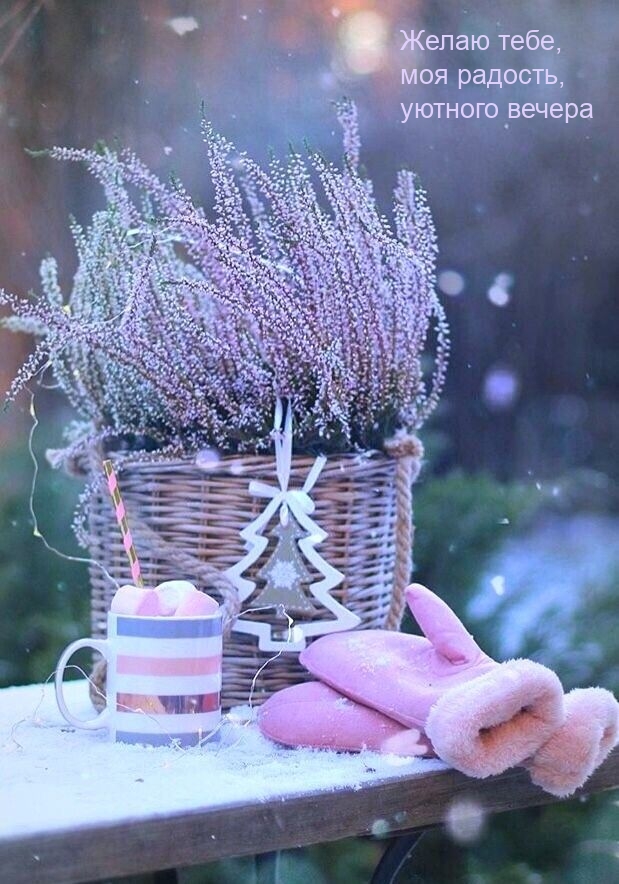 Желаю тебе, моя радость, уютного вечера