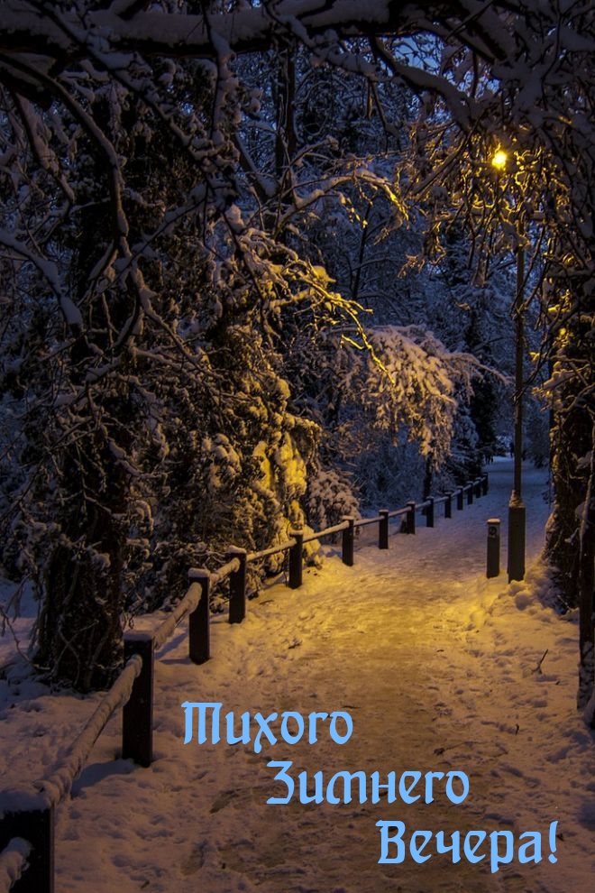 Тихого Зимнего Вечера!