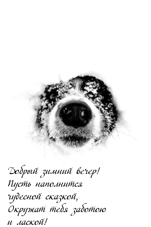 Добрый зимний вечер! Пусть наполнится чудесной сказкой