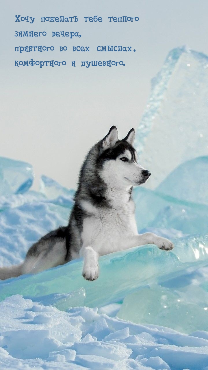 Хочу пожелать тебе теплого зимнего вечера