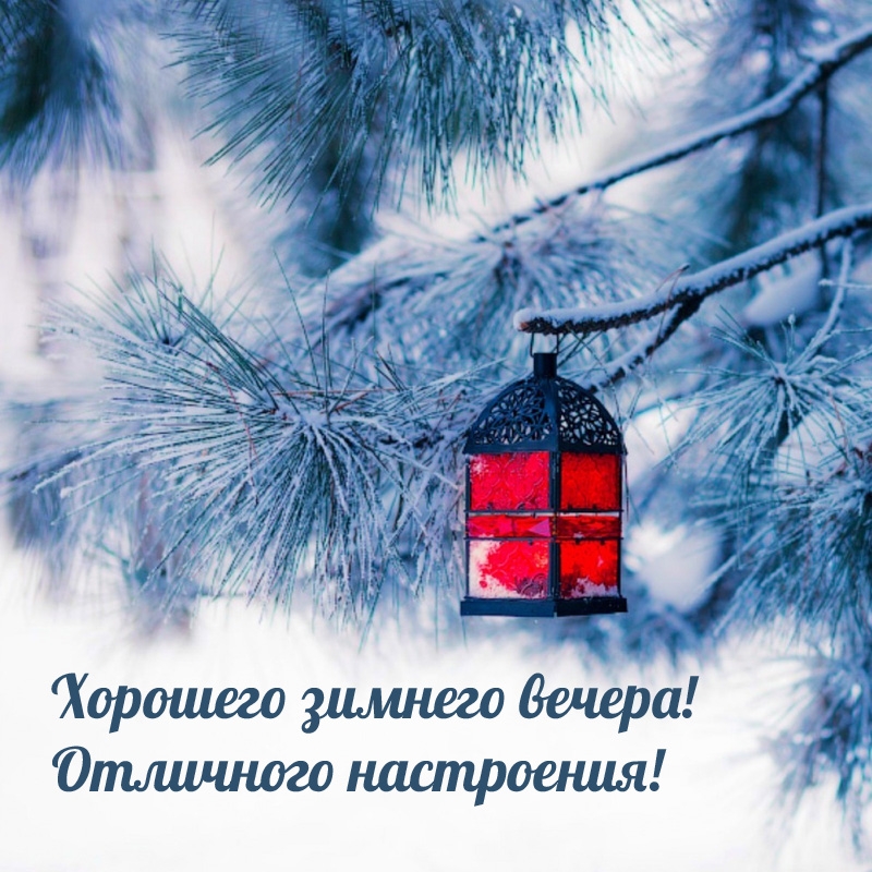 Хорошего зимнего вечера! Отличного настроения!