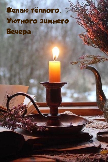 Желаю тёплого, уютного зимнего вечера
