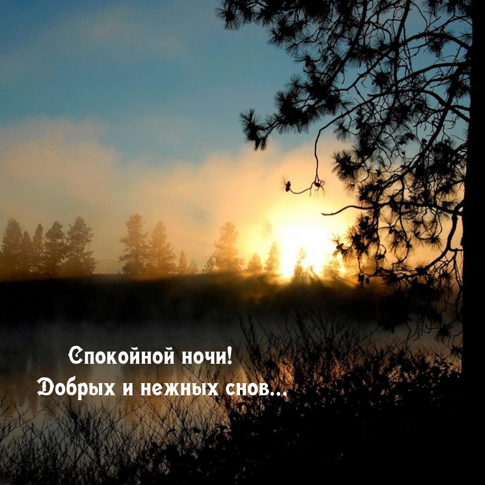  Спокойной ночи! Добрых и нежных снов...