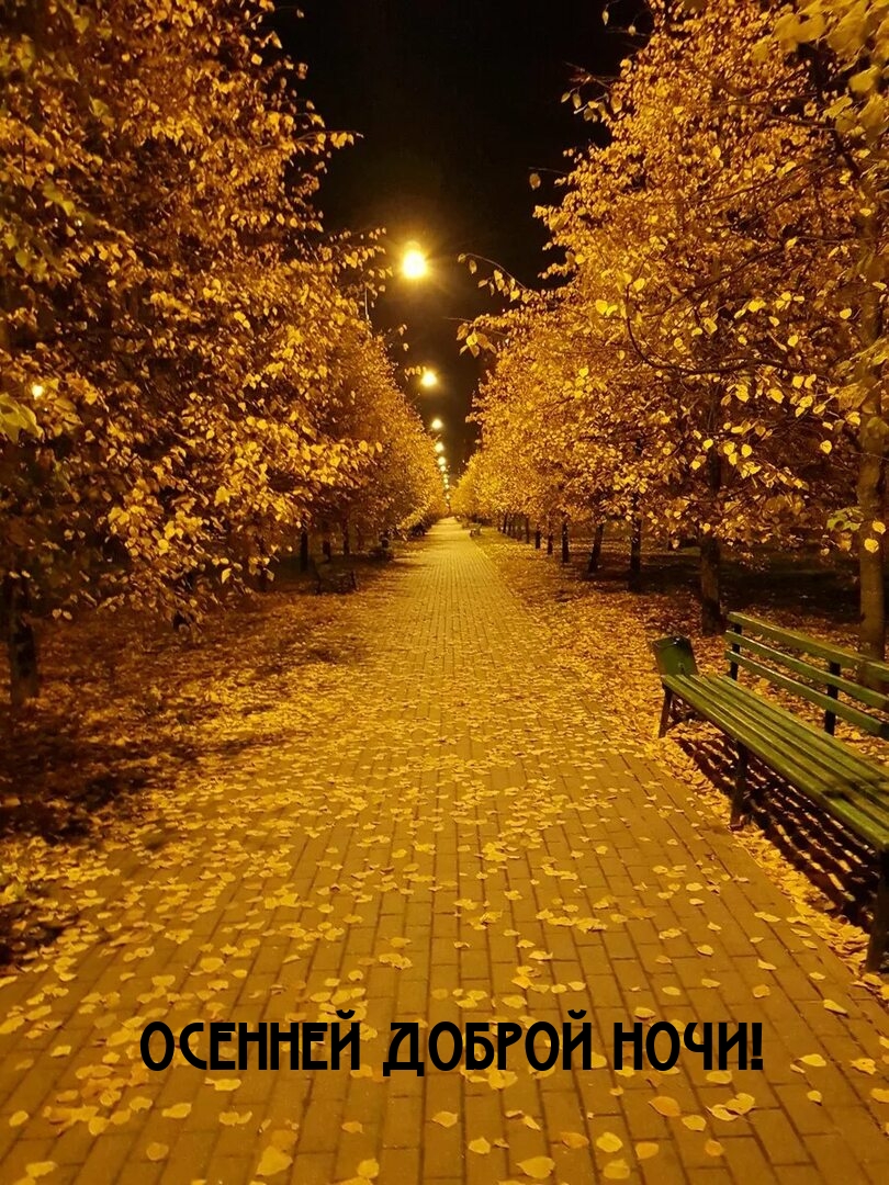 Осенней доброй ночи!