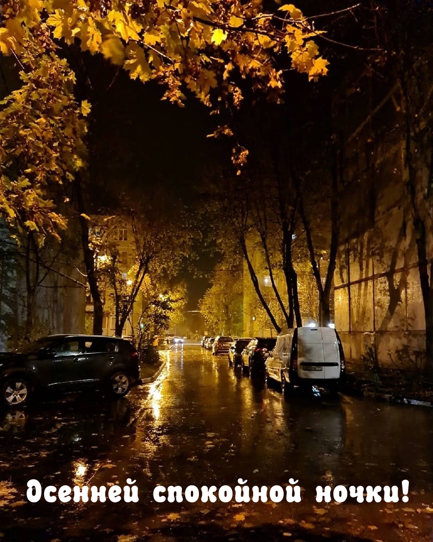Осенней спокойной ночки!