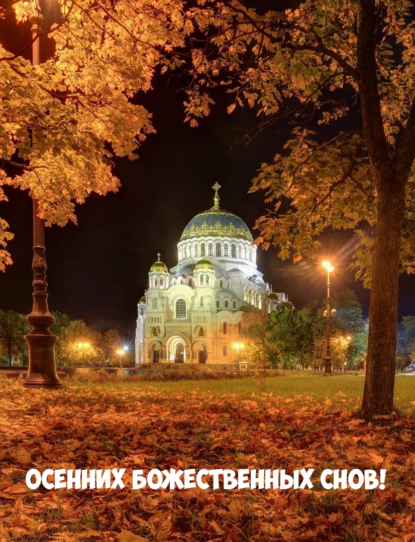 Осенних божественных снов!