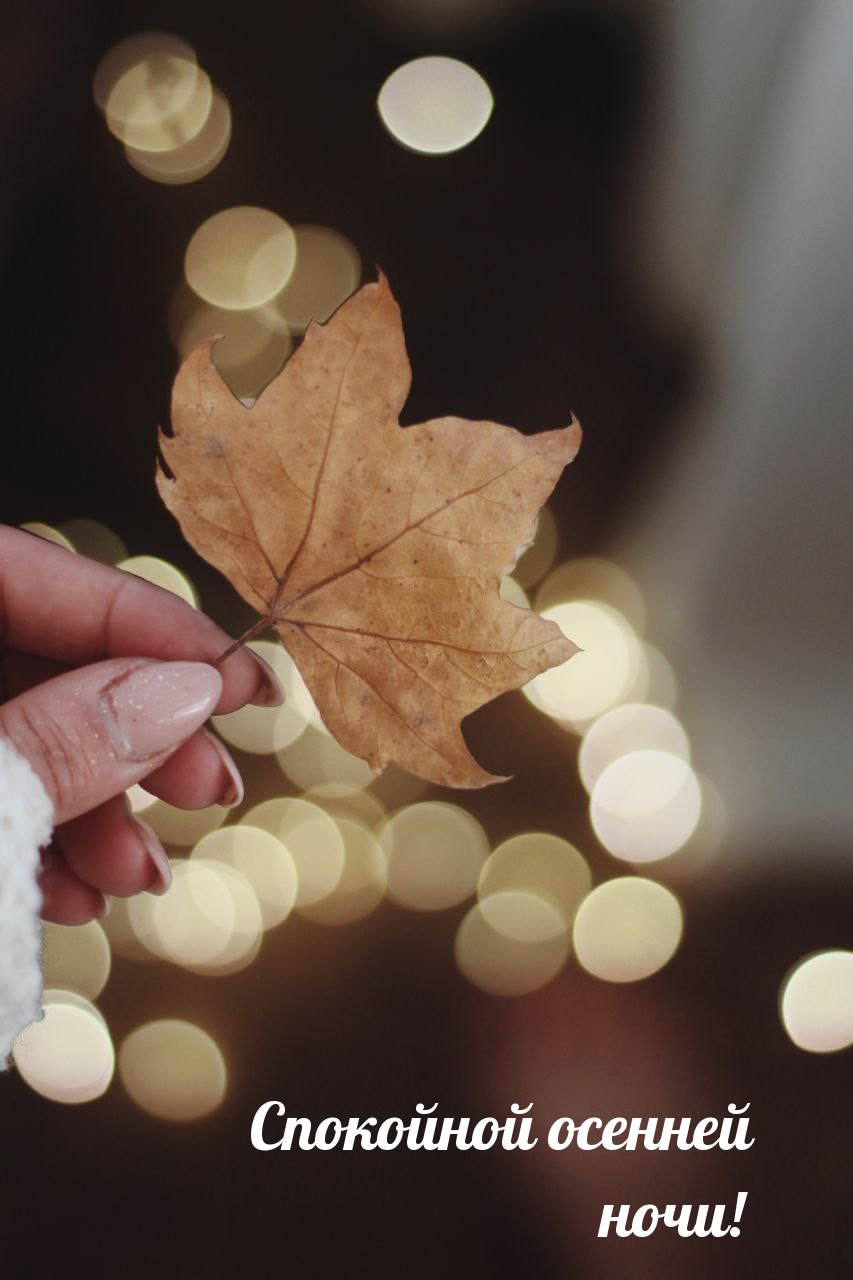 Спокойной осенней ночи! 