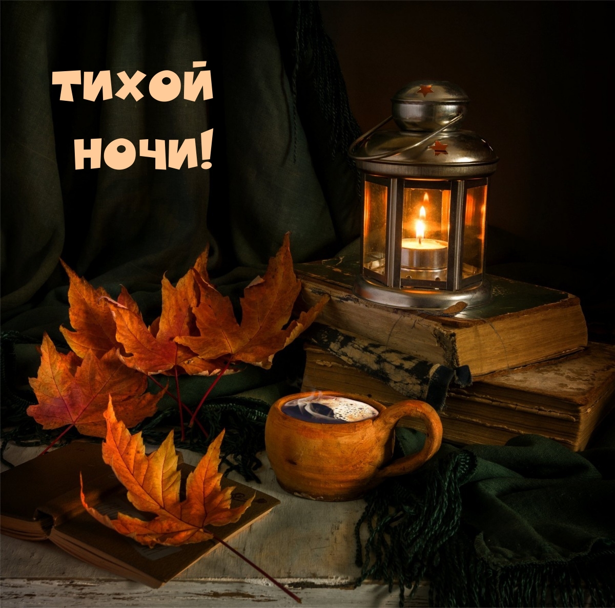 Тихой ночи!
