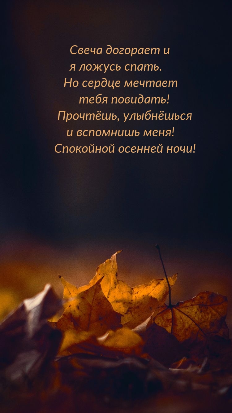 Свеча догорает и я ложусь спать. Но сердце мечтает тебя повидать!