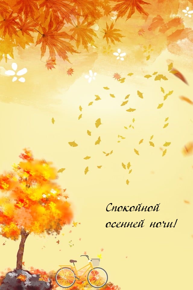 Спокойной осенней ночи!