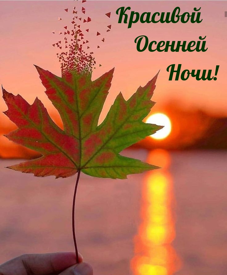 Красивой Осенней Ночи!