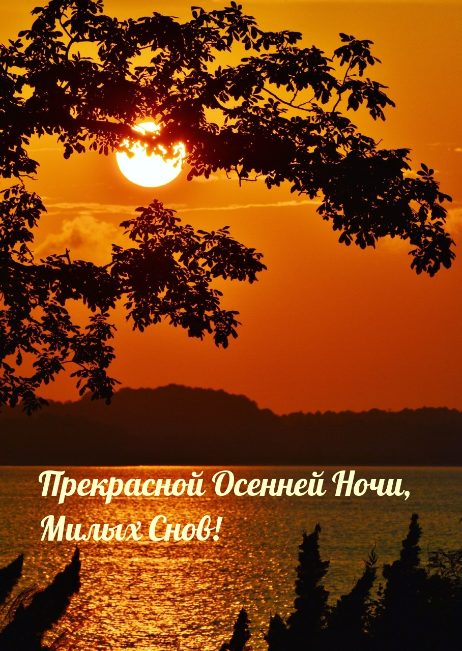 Прекрасной Осенней Ночи, Милых Снов!