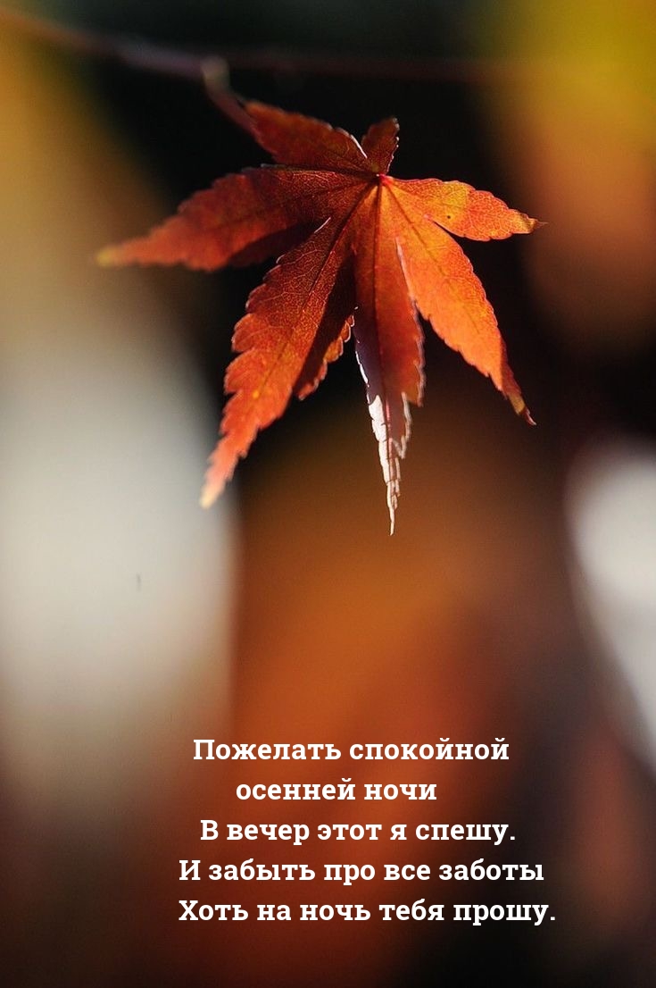 Пожелать спокойной осенней ночи в вечер этот я спешу.
