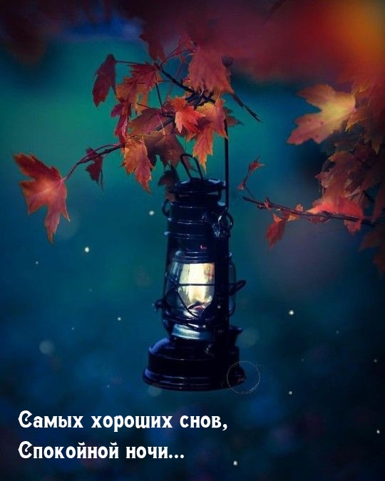 Самых хороших снов, Спокойной ночи...