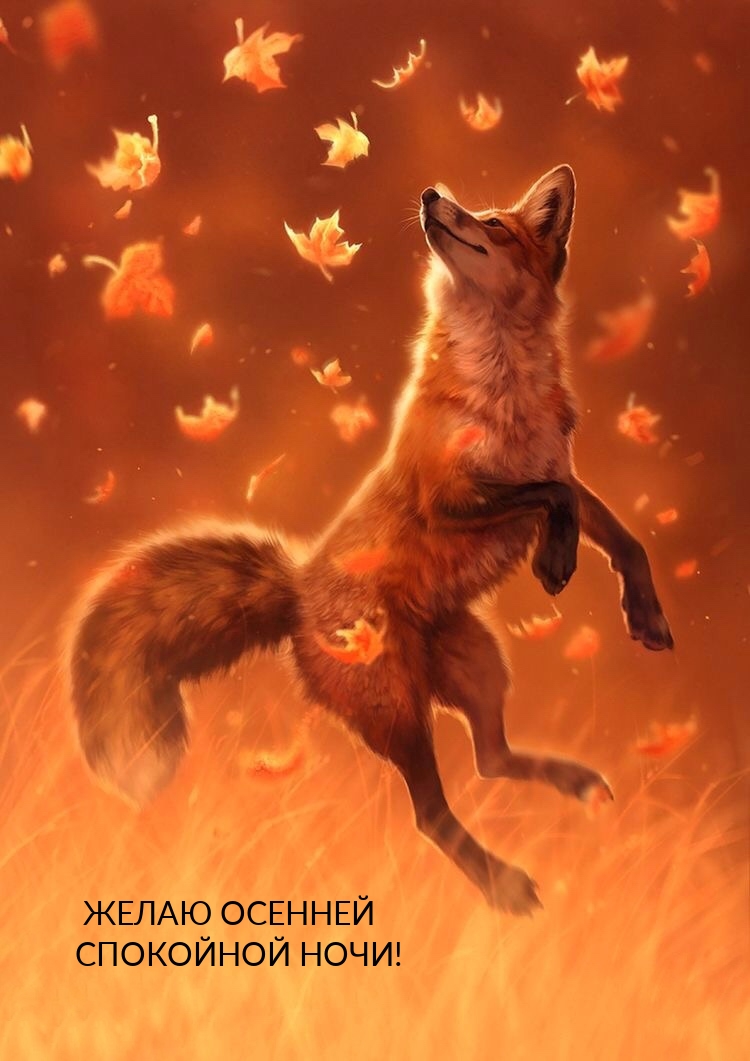 Желаю осенней спокойной ночи!