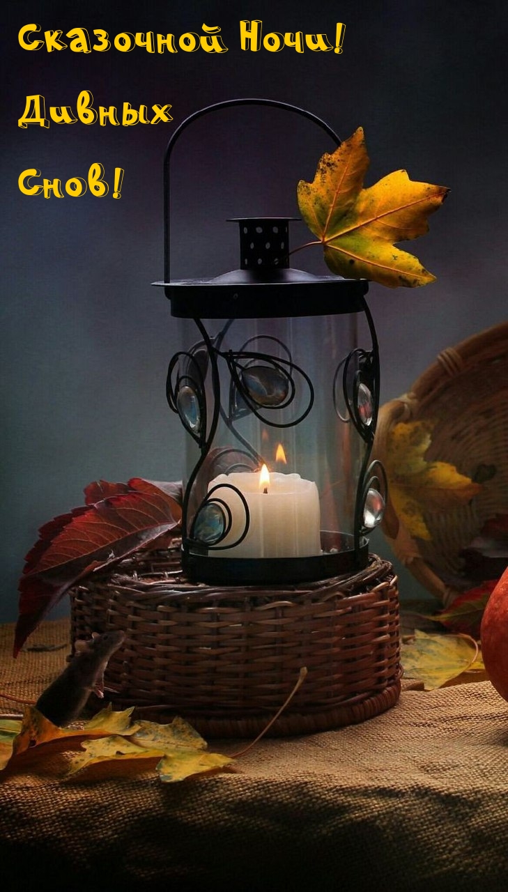 Сказочной Ночи! Дивных Снов!