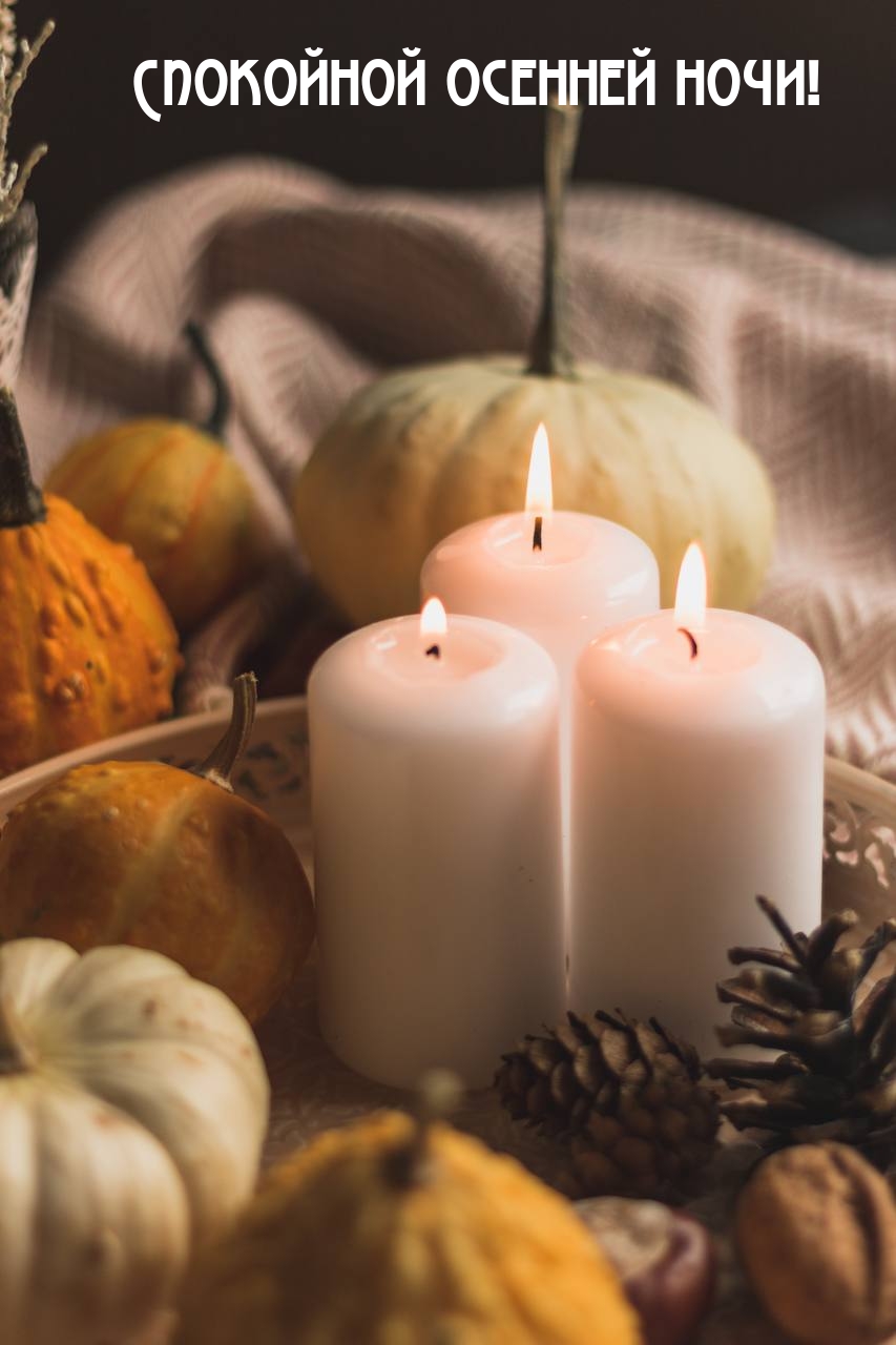 Спокойной осенней ночи!
