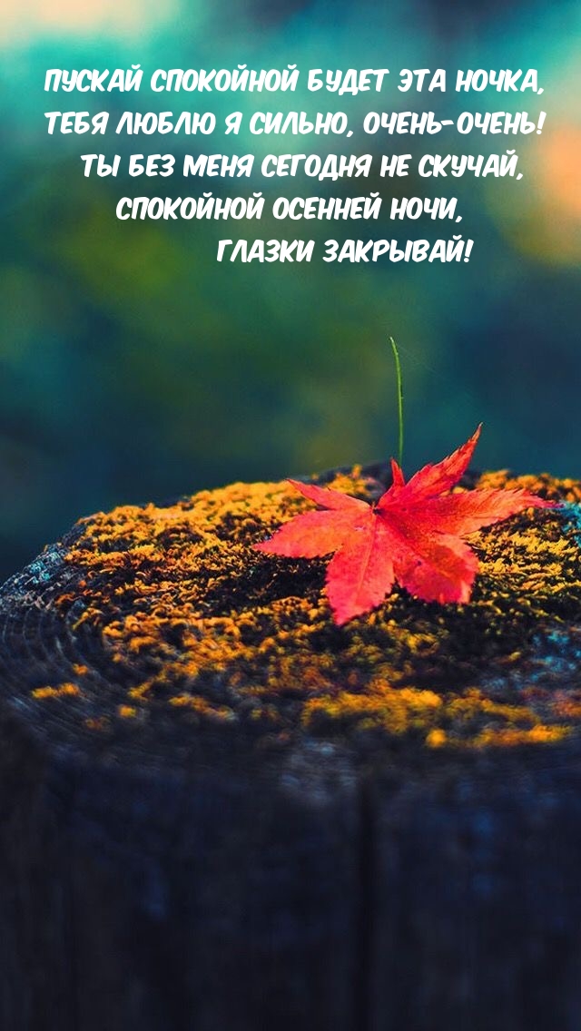 Ты без меня не скучай, спокойной осенней ночи, глазки закрывай!