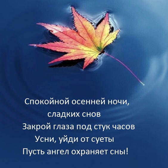 Спокойной осенней ночи, сладких снов закрой глаза под стук часов