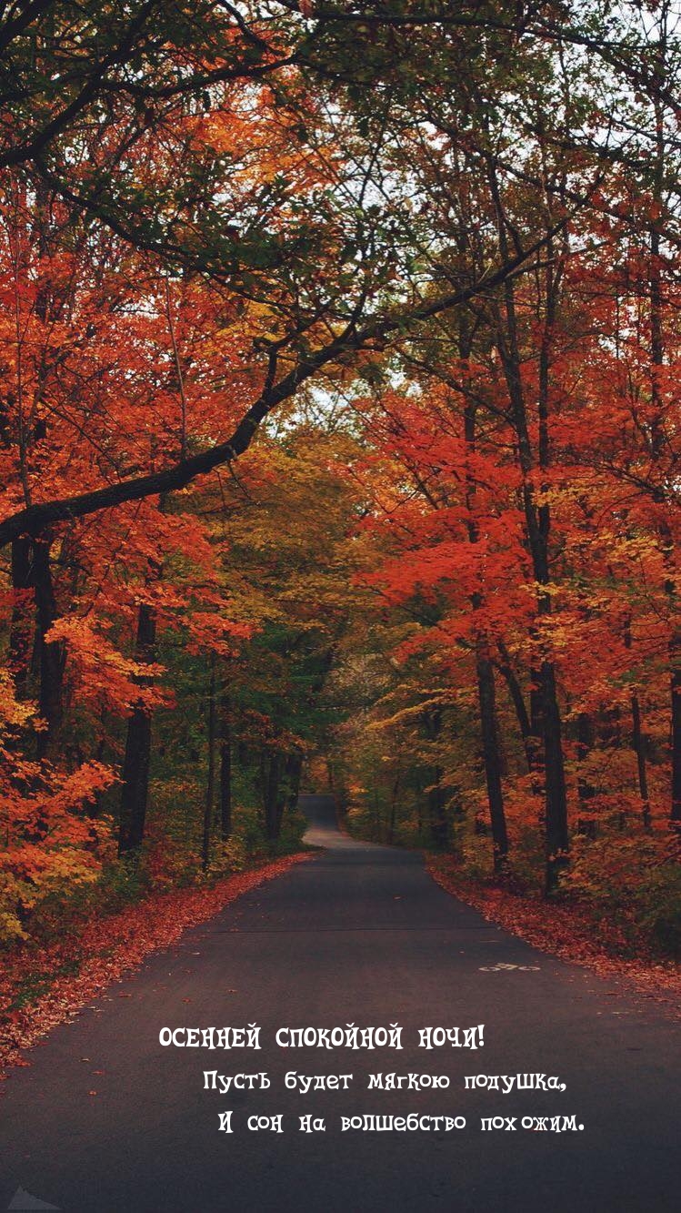Пусть будет мягкою подушка, и сон на волшебство похожим.