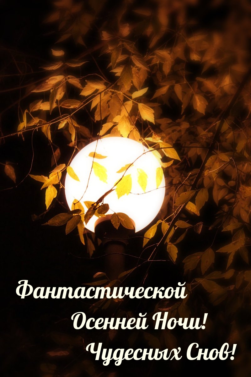 Фантастической Осенней Ночи! Чудесных Снов!